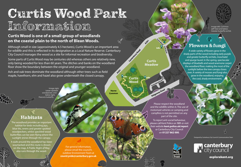 Canterbury City Council in partnership with the Wildlife Trust: x3 information and welcome signs for the Curtis Wood Park. Concept to print